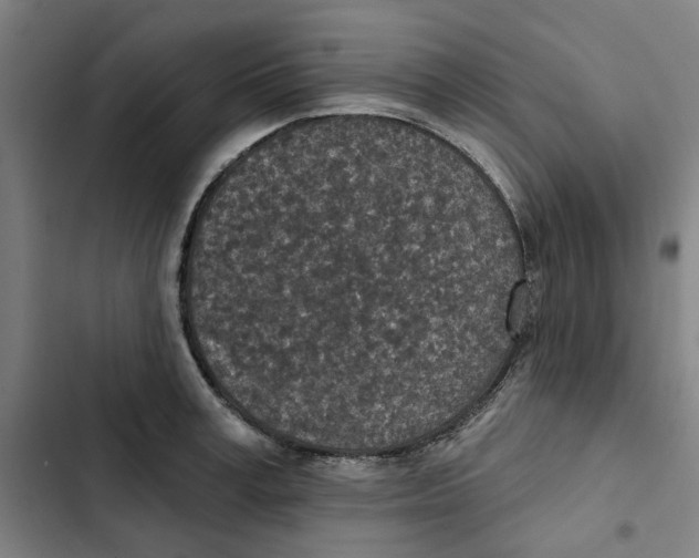 X0000102360995200808291221