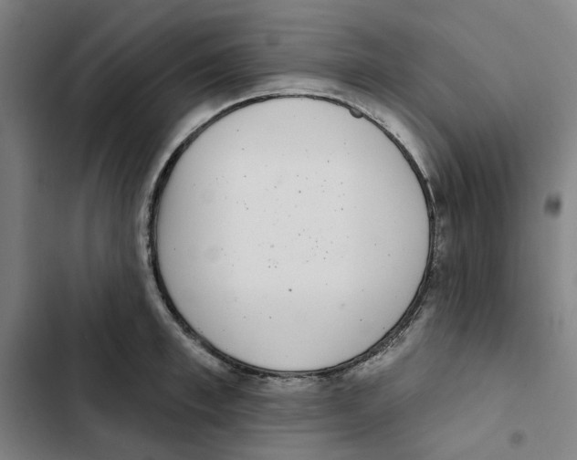 X0000102360997200808291221