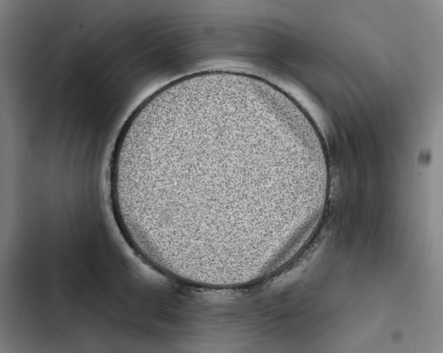 X0000102360999200808291221