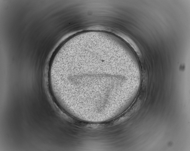 X0000102361000200808291221