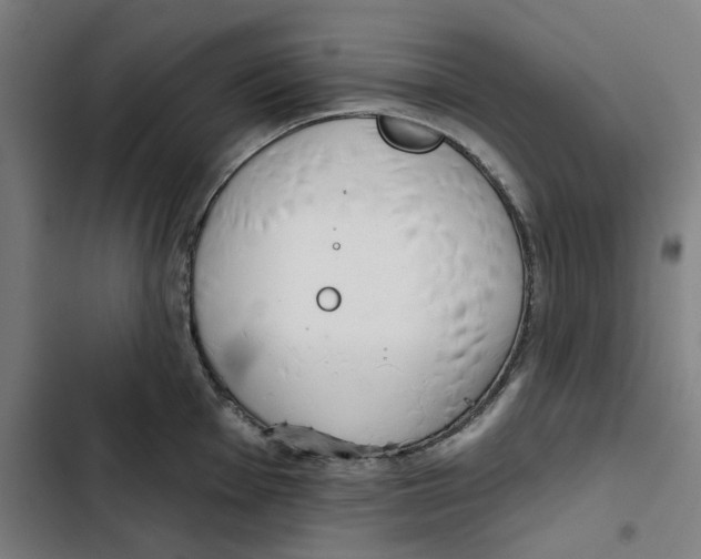 X0000102361001200808291221