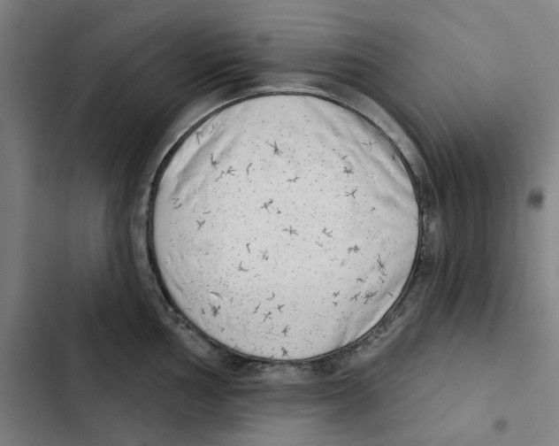 X0000102361002200808291221