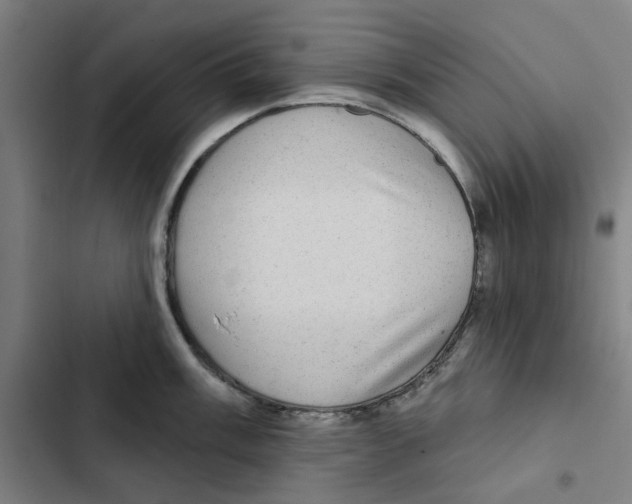 X0000102361003200808291221