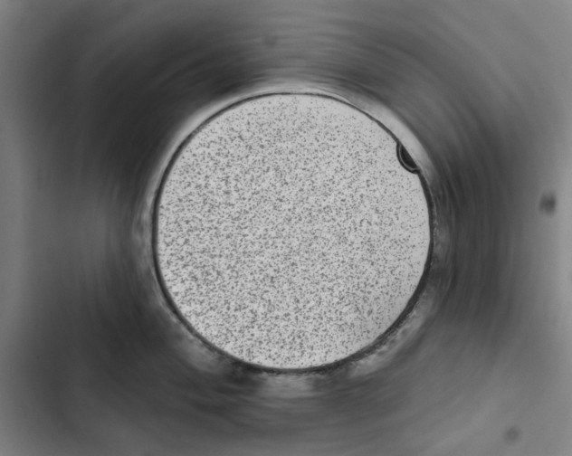 X0000102361004200808291221
