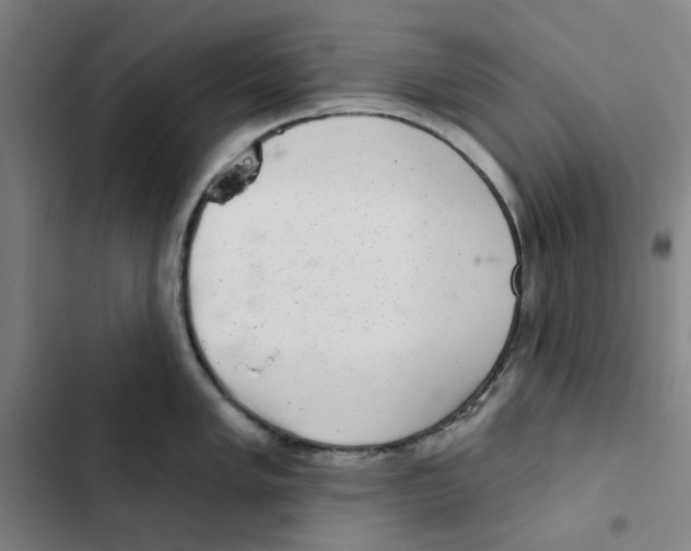 X0000102361005200808291221