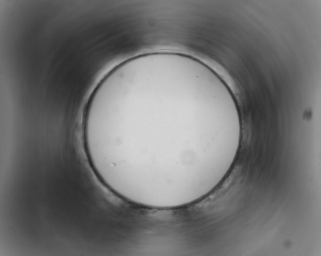 X0000102361006200808291221
