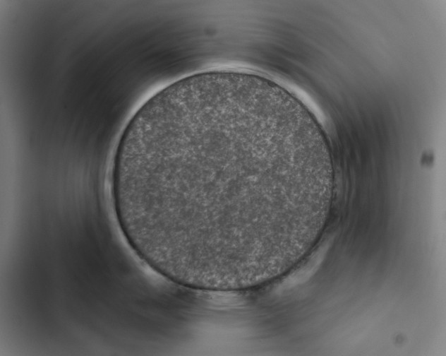 X0000102361007200808291221