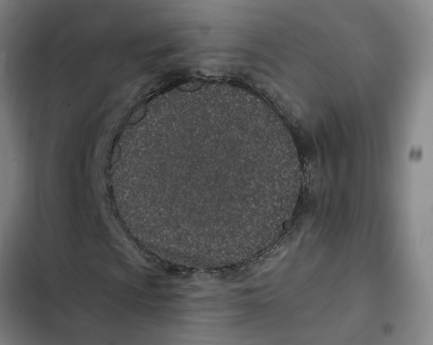 X0000102361009200808291220