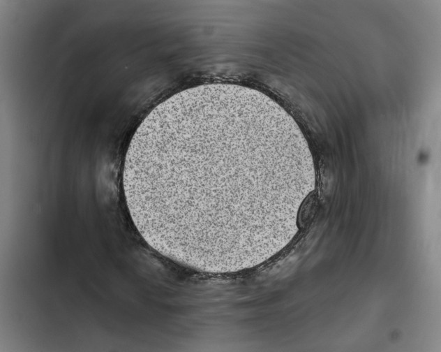 X0000102361010200808291220