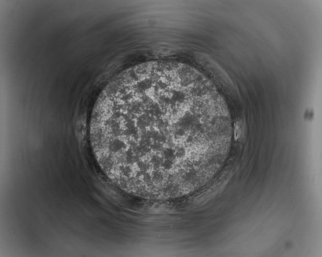 X0000102361011200808291220