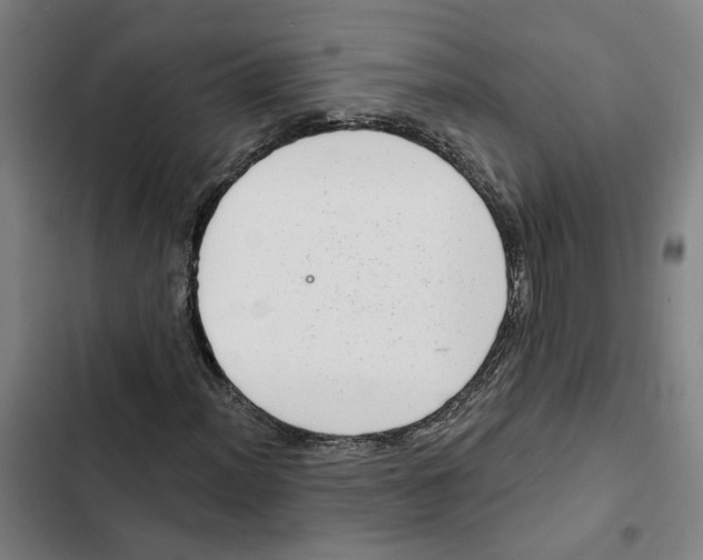 X0000102361012200808291220