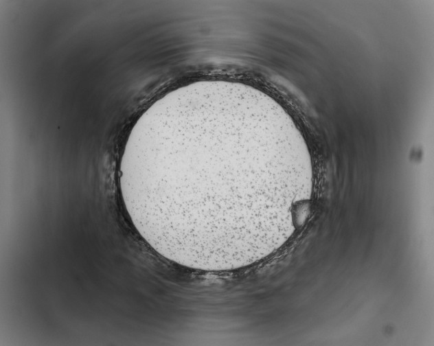 X0000102361013200808291220