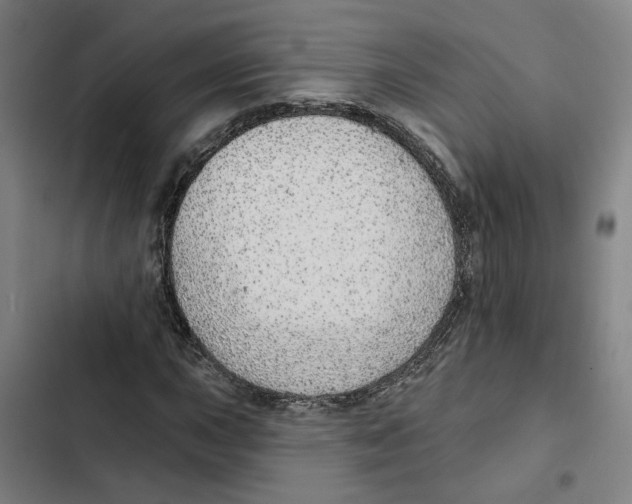 X0000102361015200808291220