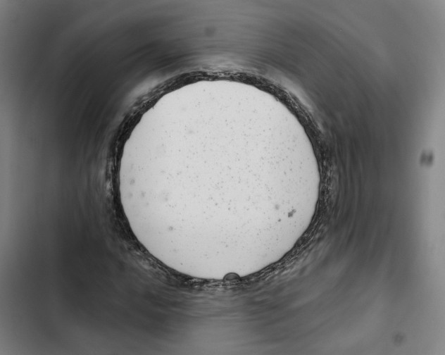 X0000102361016200808291220