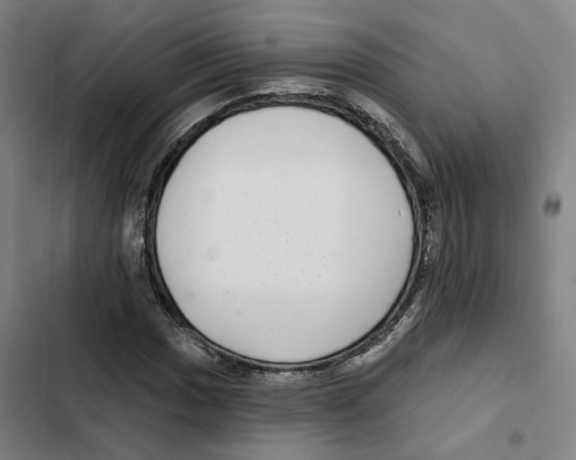 X0000102361017200808291220