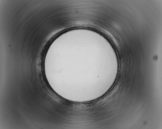 X0000102361019200808291220