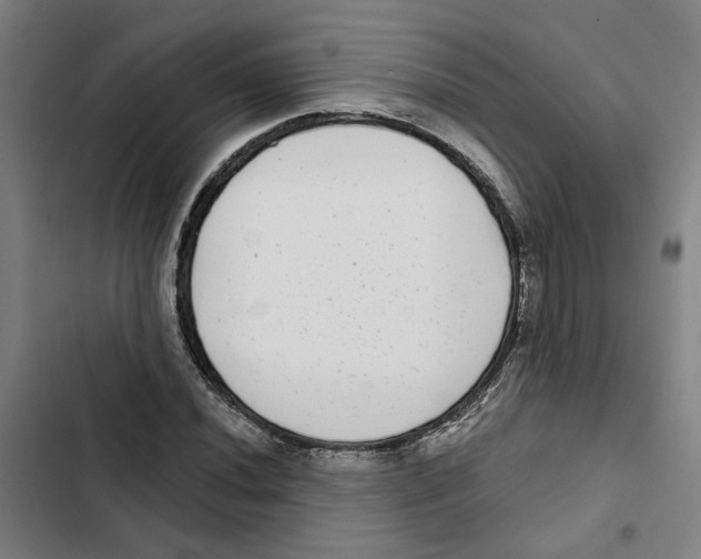 X0000102361020200808291220