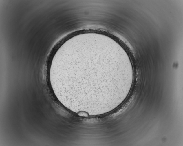 X0000102361021200808291220