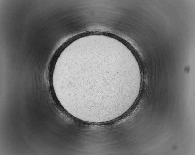X0000102361022200808291220