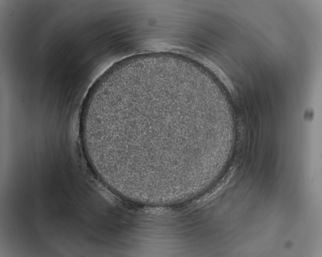 X0000102361023200808291220