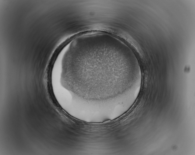 X0000102361024200808291220