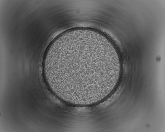 X0000102361025200808291220