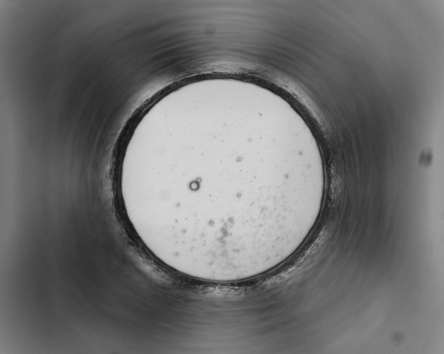 X0000102361026200808291220