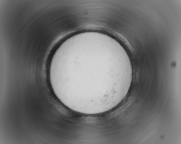 X0000102361027200808291220