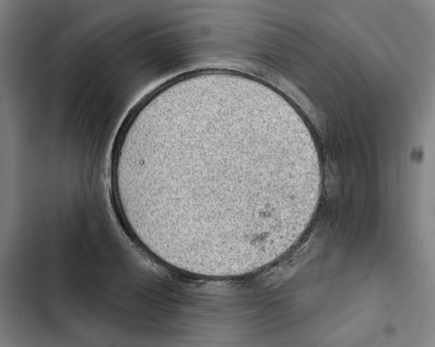 X0000102361028200808291220