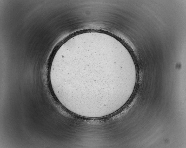 X0000102361029200808291220