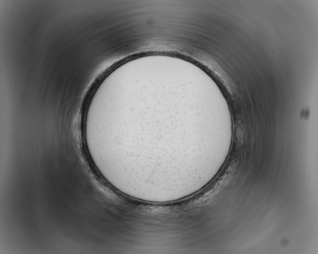 X0000102361030200808291220