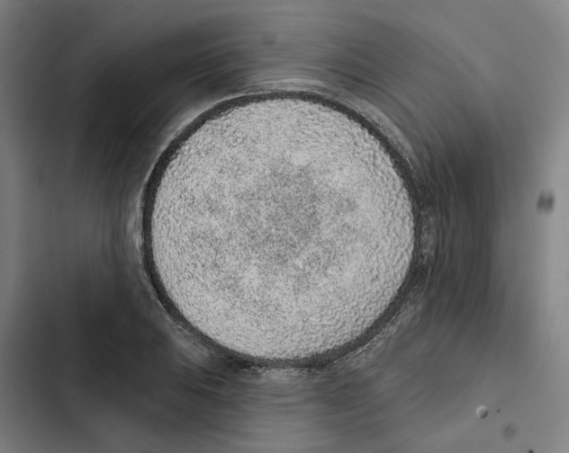 X0000102361031200808291220