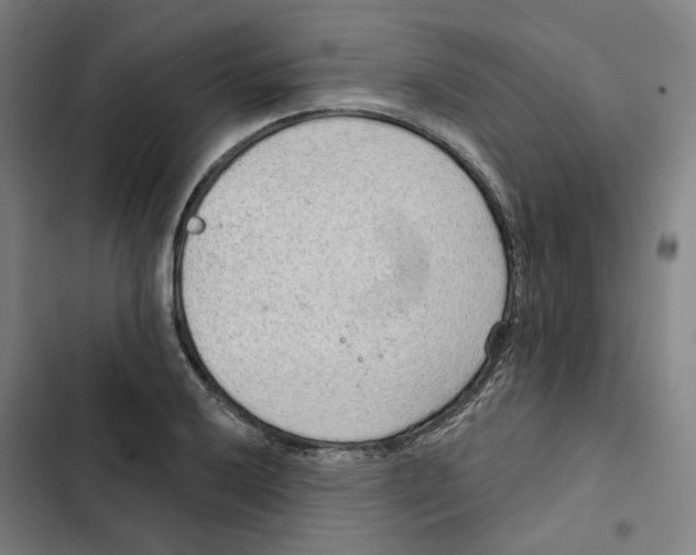 X0000102361032200808291220