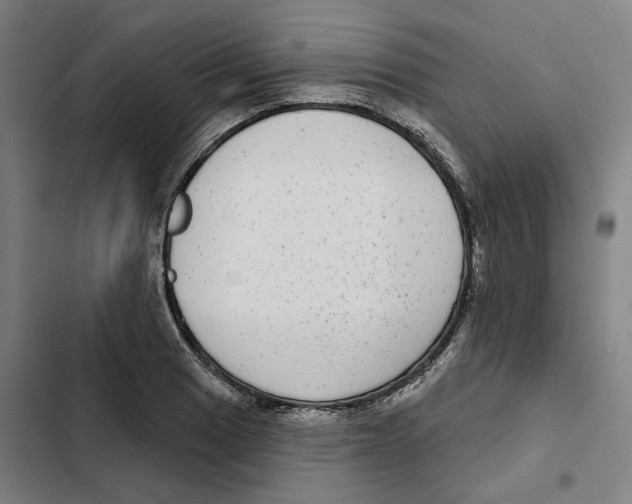 X0000102361033200808291220