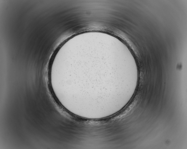 X0000102361034200808291220