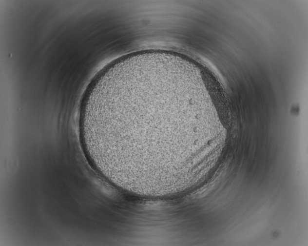 X0000102361035200808291220