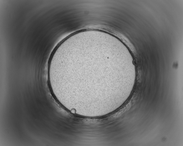 X0000102361036200808291220