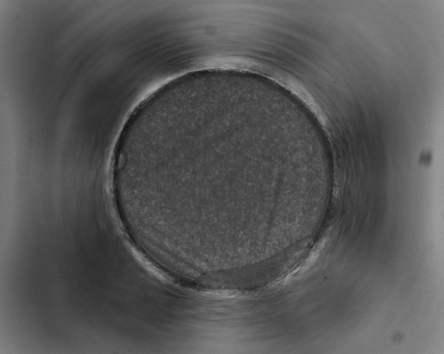 X0000102361037200808291220