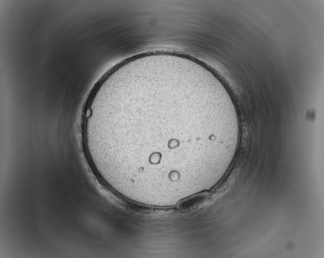 X0000102361038200808291220