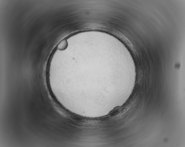 X0000102361039200808291220