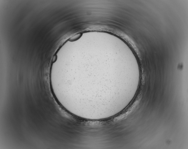 X0000102361041200808291220