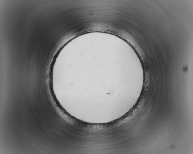 X0000102361042200808291220