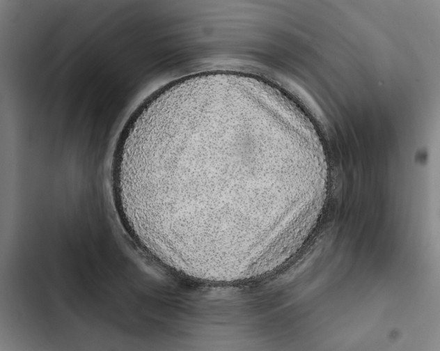 X0000102361043200808291220