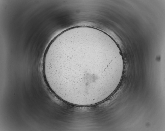 X0000102361044200808291220