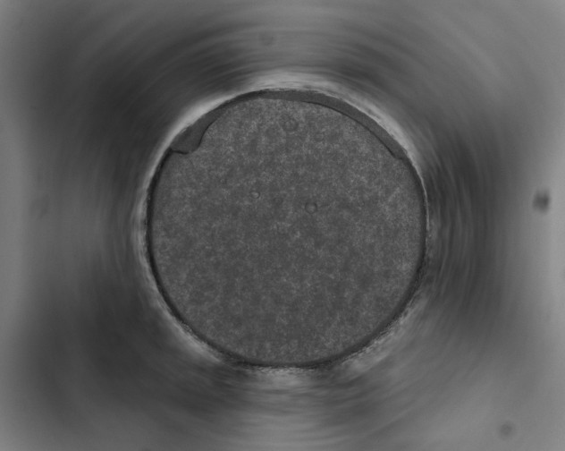 X0000102361045200808291220