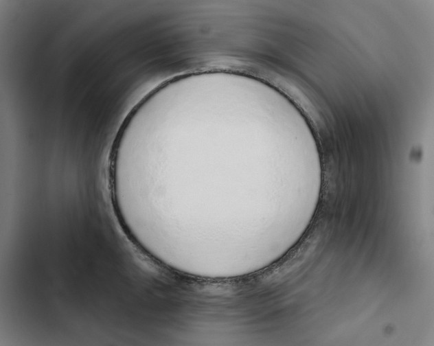 X0000102361047200808291220