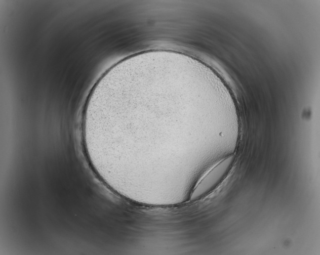 X0000102361048200808291220