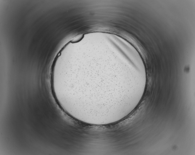 X0000102361050200808291221