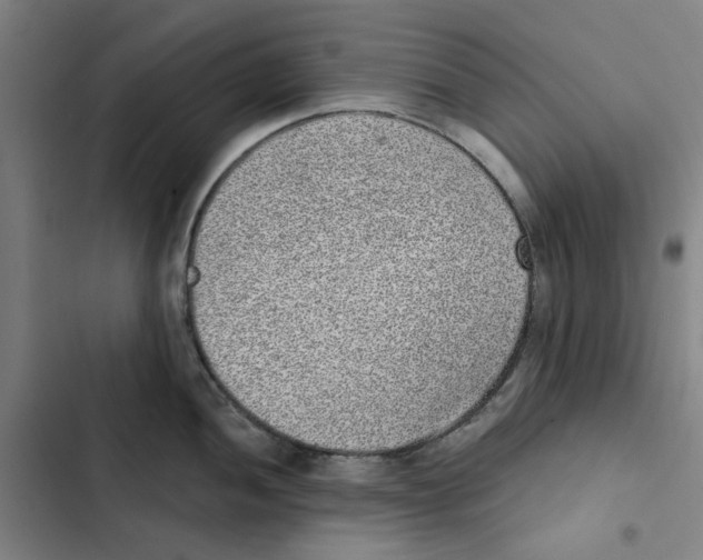 X0000102361052200808291221