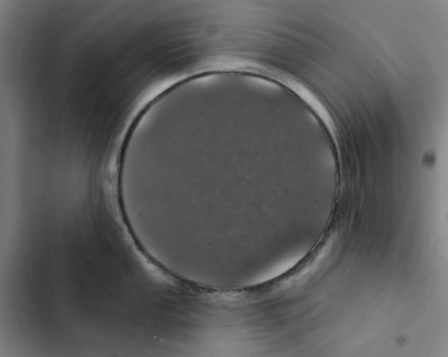X0000102361053200808291221